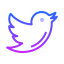Twitter Icon